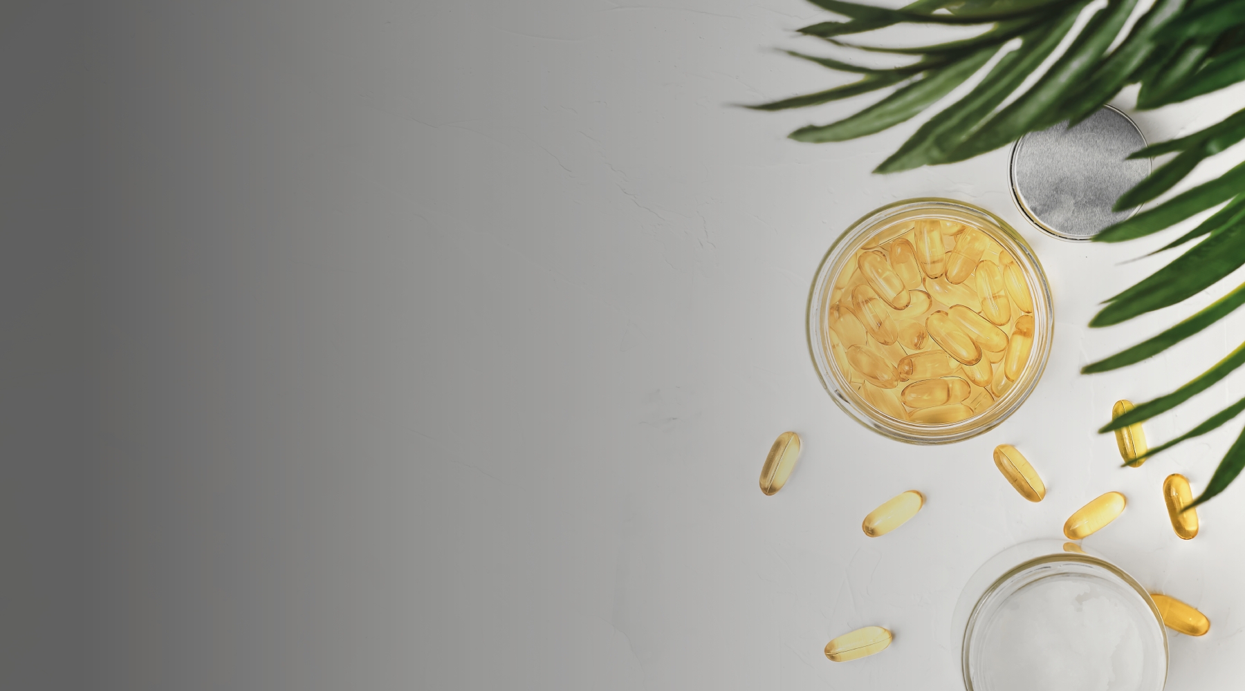 Arjin Pharma, bitkisel içerikli ve bilimsel olarak formüle edilmiş gıda takviyesi ürünleriyle bağışıklık sisteminizi güçlendirmenize, günlük vitamin ve mine